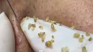 السفر إلى مدينة نيويورك0004