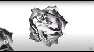 REFLECTIONS | CICADA (Official Visualizer)
