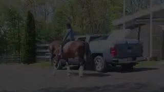 Falcao and Juliane 5-20-19