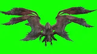 Dragon Flying Green Screen