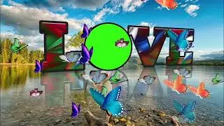 Wedding Green Screen Effects 161/love green photo frame wedding background video
