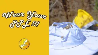 Beekeeping Without Protective Gear: A Risky Move?