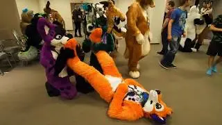 Macro Furs At Eurofurence 22: Paws and Cuddle Scenes Part 1
