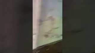 Обзор на бывшую психиатрическую больницу