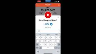 Small Business Ideas!!! Cats Code #telegram