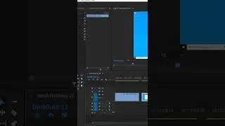 Adobe Premiere Pro Snap in Timeline Tips