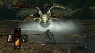Dark Souls - Страж Святилища (80 уровень)