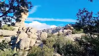 EL CÁLIZ Y LA CHARCA VERDE