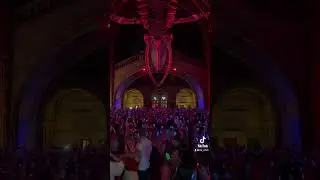 This is your sign to go to the silent disco at the Natural History Museum 