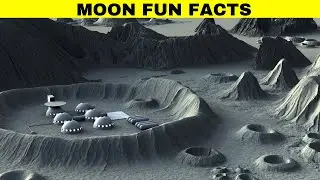 Moon Fun Facts and your Questions Answered | Amazing Facts about Moon | Facts #facts #moon