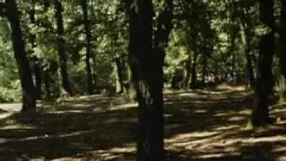 Sharpe' waterloo part 8