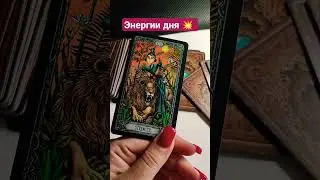 24 октября 2023 г.
