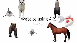 Azure Kubernetes Service (AKS) Tutorial - Basic ingress with wildcard DNS and TLS