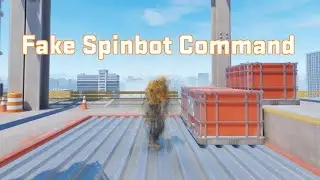 Counter-Strike 2 Fake Spinbot Command