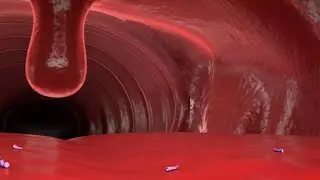 Whale noms (PP S10E22a)