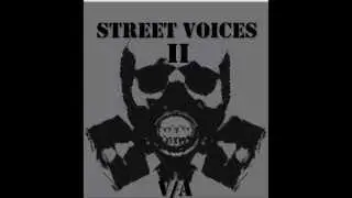 V/A Street Voices 2