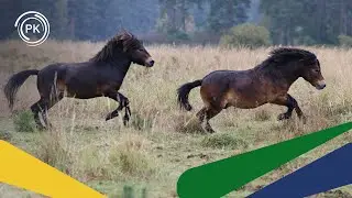 Partner Zdravé krajiny pomohl rozšířit Janovský mokřad