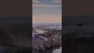 Прекрасное утро 💕