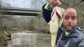 FISHING A CREEK OFF THE HIGHWAY