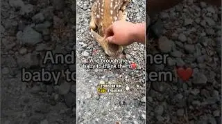 Ko bisa kaya gitu ya ? 😲
