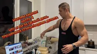 Что я ем за целый день. Тренировка спина/задняя дельта. Набор массы часть 1