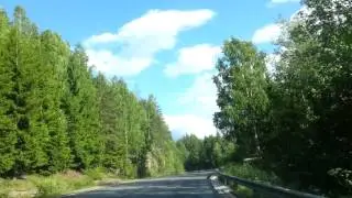 Brusnichnoe