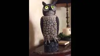 Owl head with glowing eyes