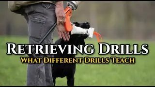 Retrieving Drills & What Drills Teach Different Things
