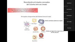 Inmunología I - 4 Clase: Receptores del sistema inmune adaptativo