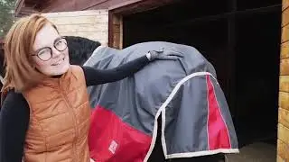 Как подобрать попону и определить размер