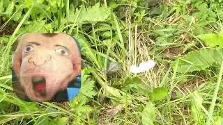 Прикол! Анекдоты про бабочек)))