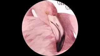 Christopher Cross - Think of Laura (Dan Angelo Remix)
