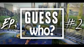 Guess Who? (Player + Editor) / Episode 02
