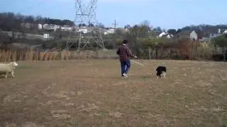 Video 24