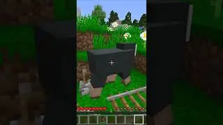 Minecraft AMA Yalan Söylemeliyim !! 