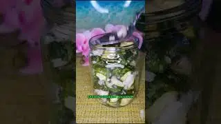 Салат из огурцов