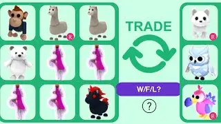 Proof 2 -new pets in stock- some are my sisters 