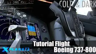 ZIBO 737-800 Cold & Dark Startup Tutorial | X-Plane 12 (Step-by-Step)
