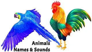 Learn animals names for kids | Learn animals names and sounds for children | wild animals for kids