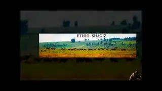 ከወደ  ሰሜን  ኢትዮጵያ የወላድ መካን የሆኑ እናቶች  ድምፅ ይሰማል