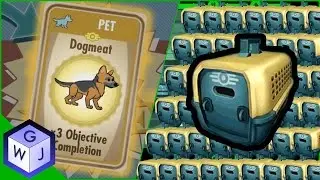 Fallout Shelter Another 40 Pet Carriers Opening Rare Dogmeat