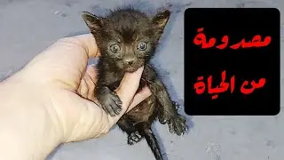 امهم تركتهم للمرة الثانية للأسف