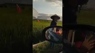 area sawah di desa depan background gunung
