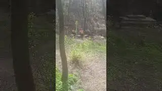 НАРОДУ - ТО !!!!