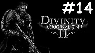 divinity: original sin 2 # поцелуй паука [14]
