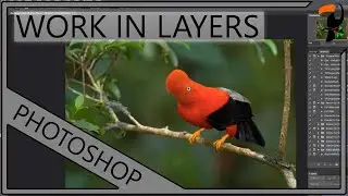 Post Processing with Adobe Photoshop - Working in Layers