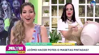 Personaliza tus macetas