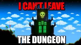 Terraria may be possible WITHOUT leaving the Dungeon