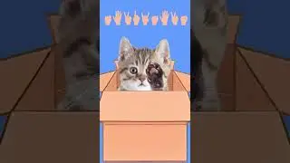 Try Hand Skill Level 1/ funny cat animation/ 고양이 손스킬 1단계 따라해 보세요 /재미있는 고양이 애니메이션/ 힐링샵#손스킬#Hand Skill