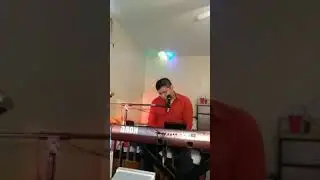 cocoyol con pelos